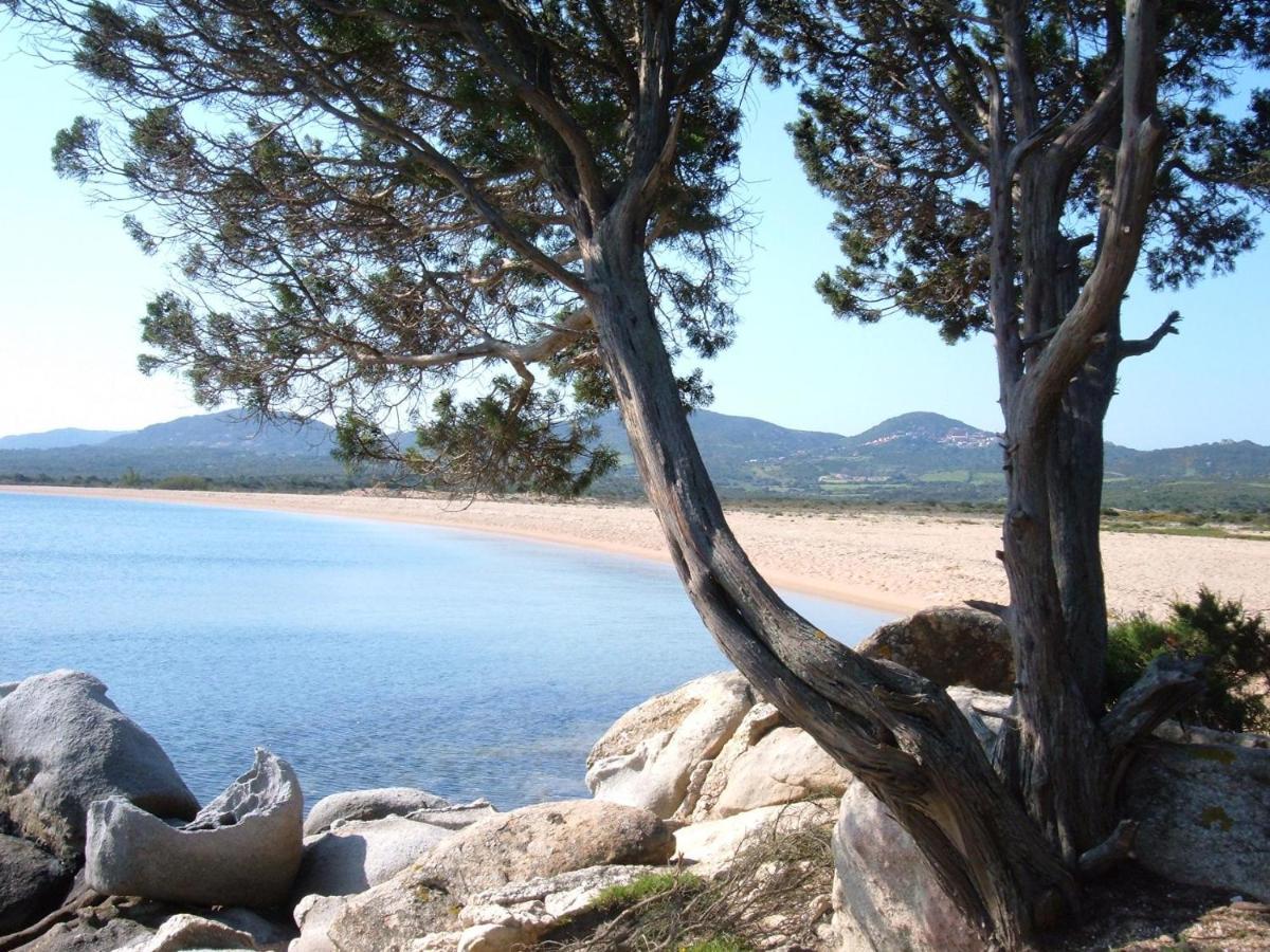 La Residenza Poseidone Santa Teresa Gallura Exterior foto